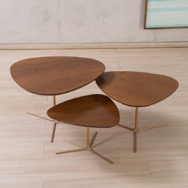 CONJUNTO DE MESA DE CENTRO PRIMAVERA APOLO CASA