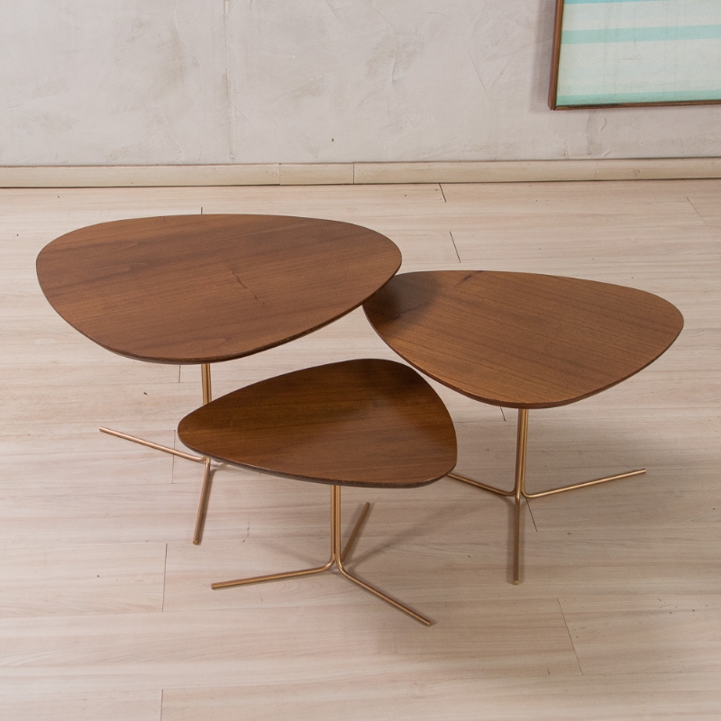 Conjunto de Mesa de Centro Primavera Apolo Casa