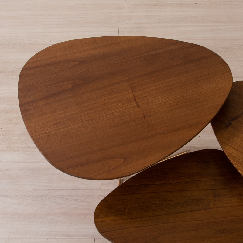 Conjunto de Mesa de Centro Primavera Apolo Casa